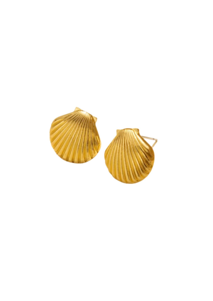 Sunlit Shells Earrings - Kiwi & Co